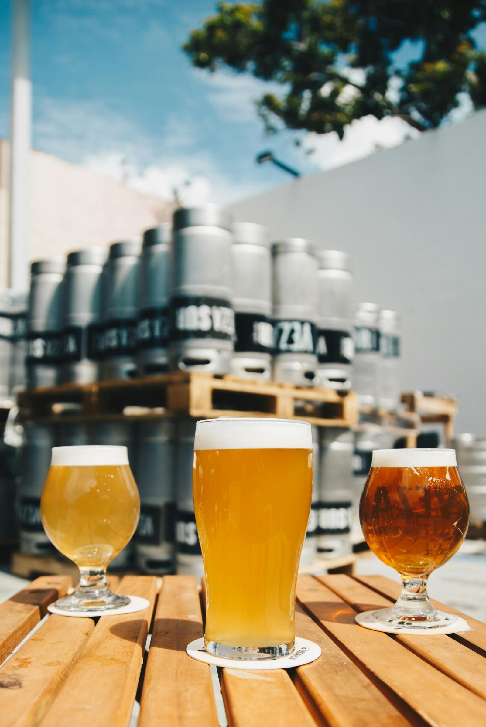 leveduras especiais para fermentação de cervejas