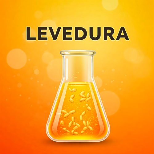 Levedura