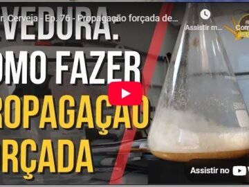Vídeo de propagação de levedura de cerveja